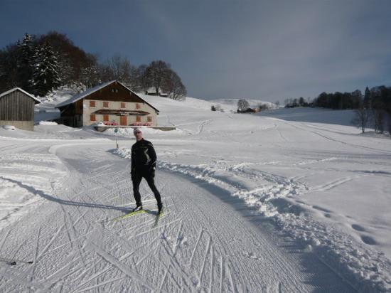 Il fait le beau ! à l'arrêt 1